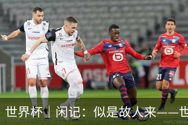 世界杯｜闲记：似是故人来——世界杯上的中超“老熟人”